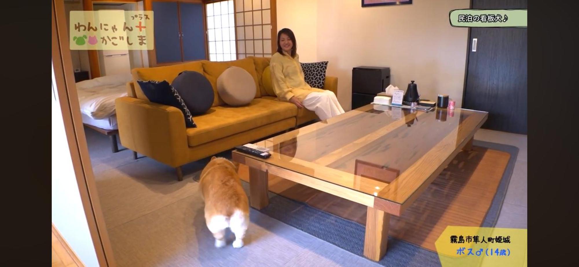 Boss'Shouse 犬ok 1組限定の宿 Kirishima Exterior foto